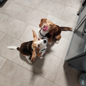 Fundraising Page: Abby Hoffman